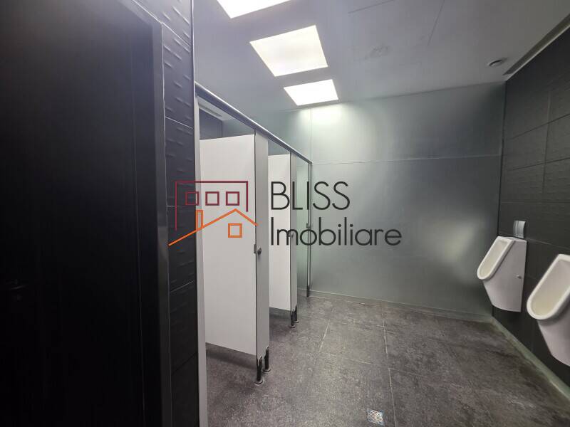 Office Space, Bucharest | Bliss Imobiliare / Photo 21 - BLISS Imobiliare