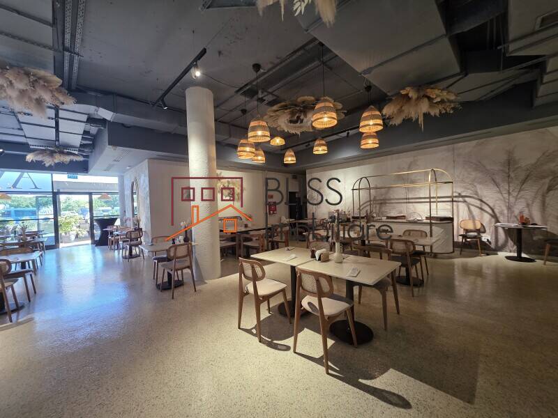 Office Space, Bucharest | Bliss Imobiliare / Photo 7 - BLISS Imobiliare