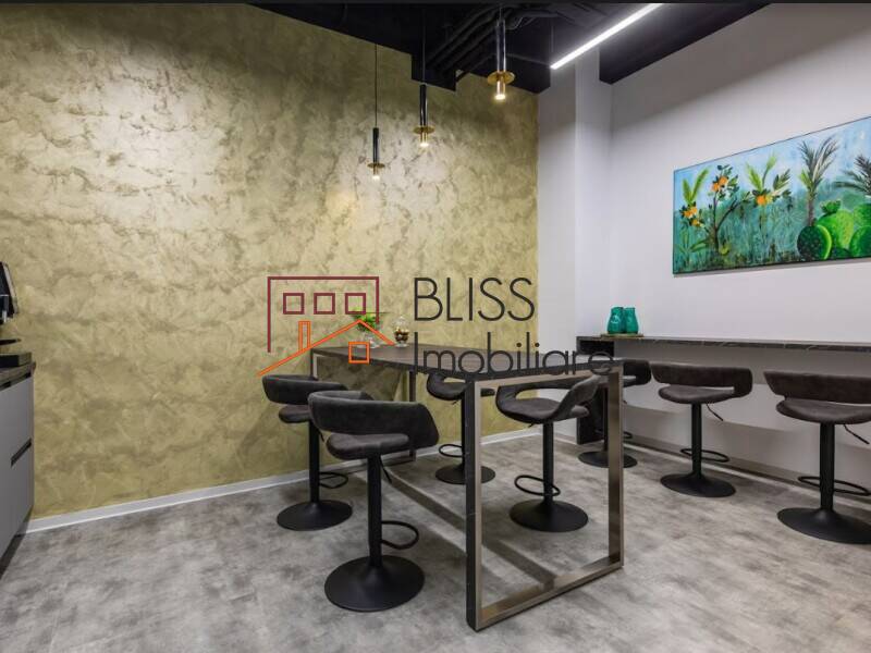Office Space H Private Tudor Arghezi, Bucharest | Bliss Imobiliare / Photo 10 - BLISS Imobiliare