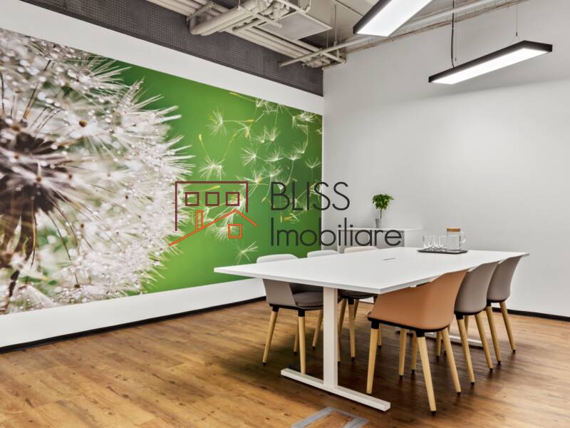 Spatiu De Birouri All-inclusive | Bliss Imobiliare / Photo 11 - BLISS Imobiliare