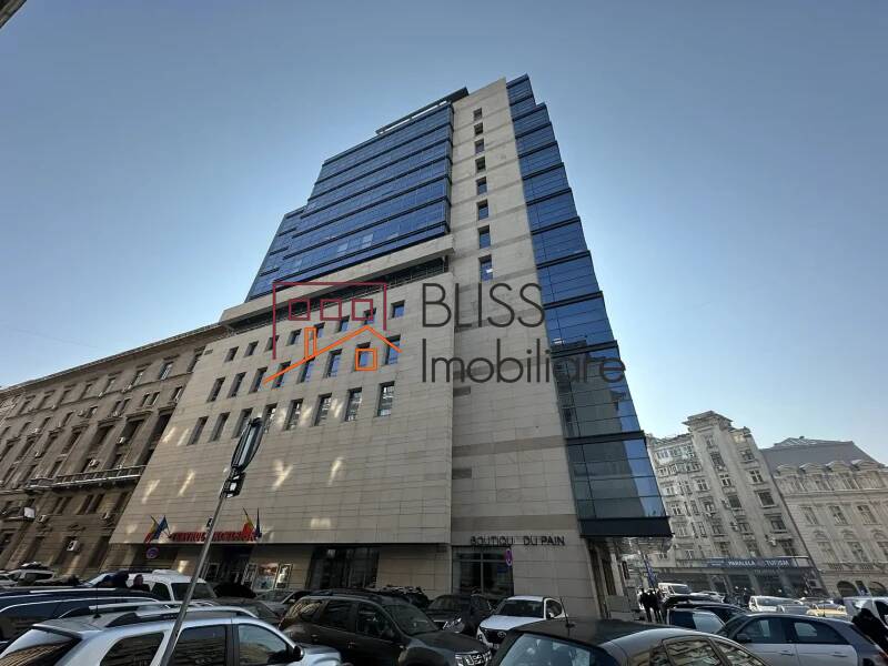 Private Office Space, Bucharest | Bliss Imobiliare / Photo 4 - BLISS Imobiliare