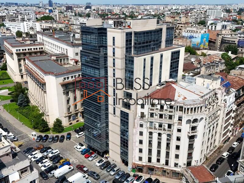 Private Office Space, Bucharest | Bliss Imobiliare / Photo 7 - BLISS Imobiliare