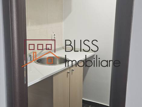 Office Space, Bucharest | Bliss Imobiliare / Photo 7 - BLISS Imobiliare