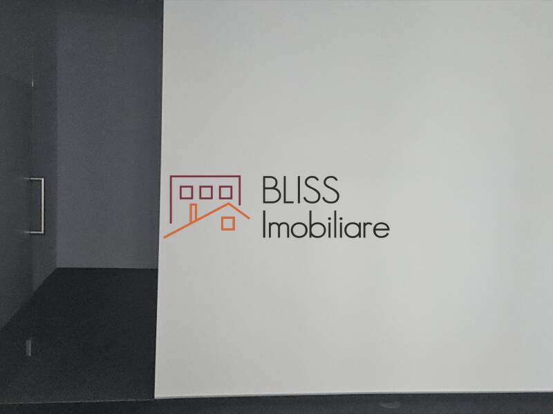 Office Space, Bucharest | Bliss Imobiliare / Photo 8 - BLISS Imobiliare