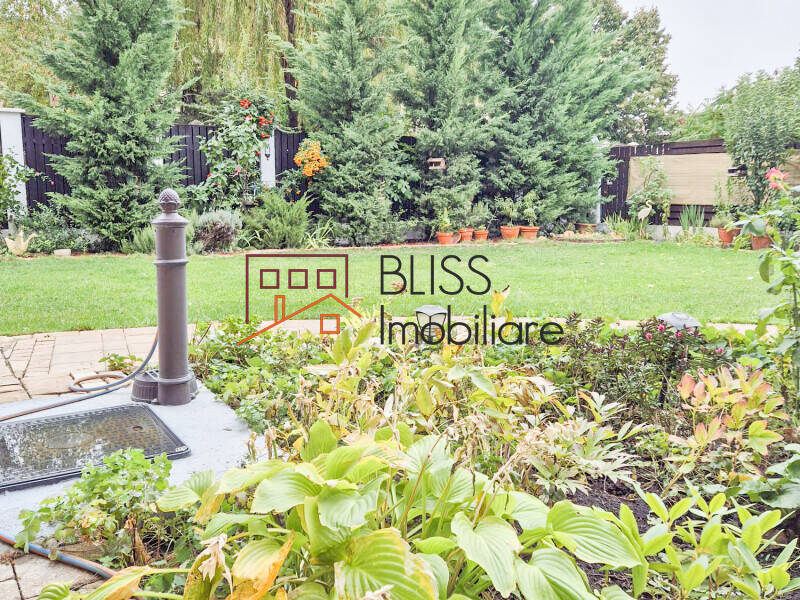 4 Bedroom Villa, Bucharest / Ilfov | Bliss Imobiliare / Photo 10 - BLISS Imobiliare