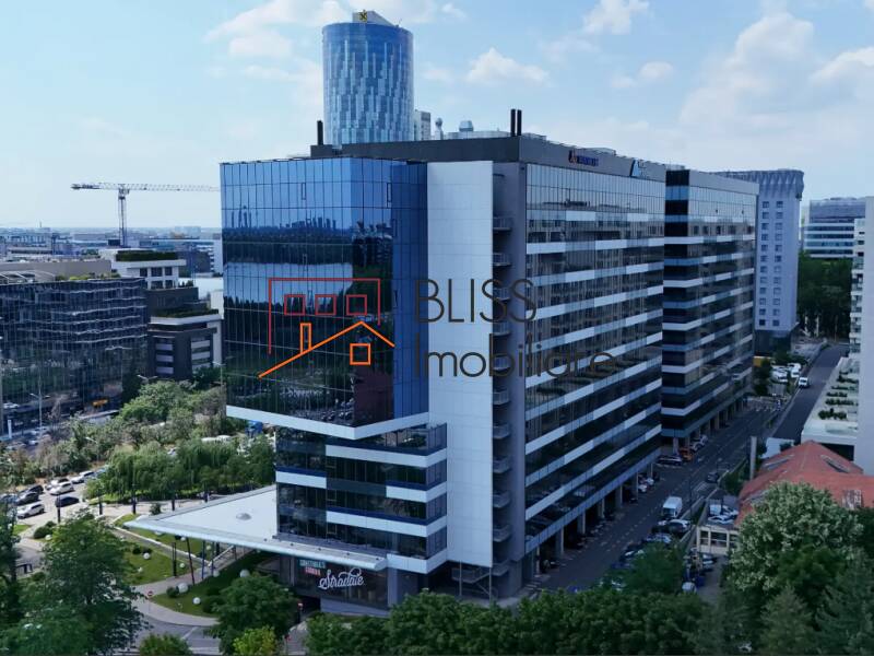 All-Inclusive Office Space, Bucharest | Bliss Imobiliare / Photo 2 - BLISS Imobiliare