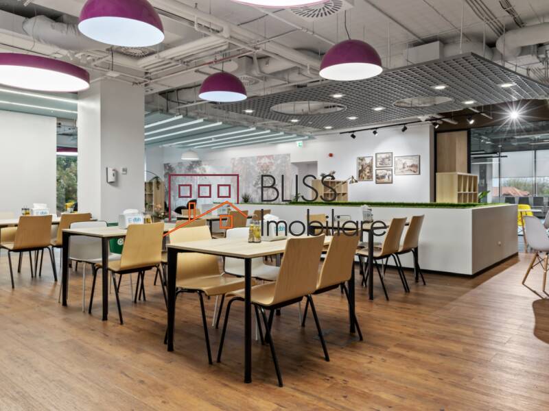All-Inclusive Office Space, Bucharest | Bliss Imobiliare / Photo 18 - BLISS Imobiliare