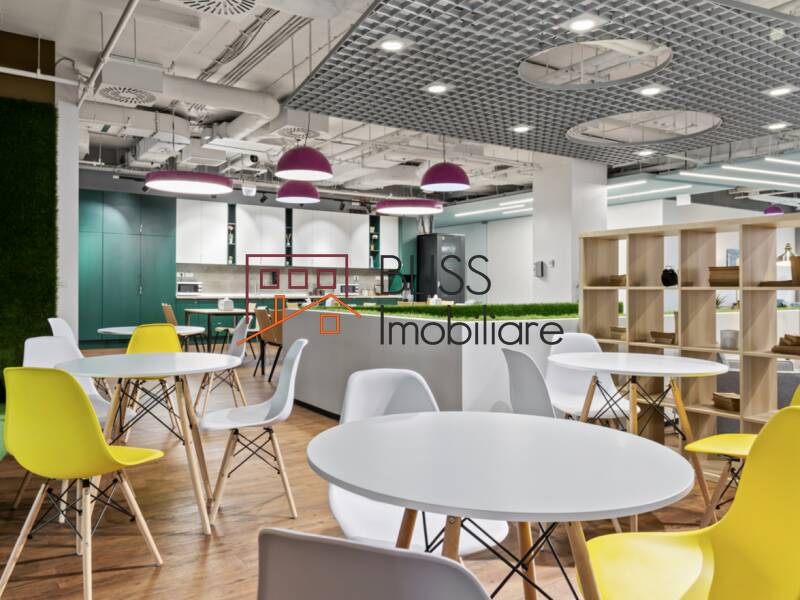 All-Inclusive Office Space, Bucharest | Bliss Imobiliare / Photo 17 - BLISS Imobiliare