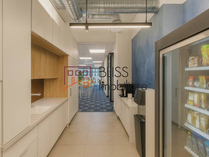 Office Space, Bucharest | Bliss Imobiliare / Photo 9 - BLISS Imobiliare