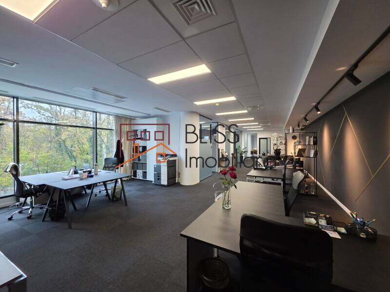 Spatiu De Birouri | Bliss Imobiliare / Photo 10 - BLISS Imobiliare