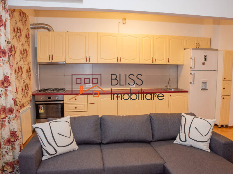 Bright 1 Bedroom Apartment With Terrace In Complex Privighetorilor, Bucharest | Bliss Imobiliare / Photo 3 - BLISS Imobiliare
