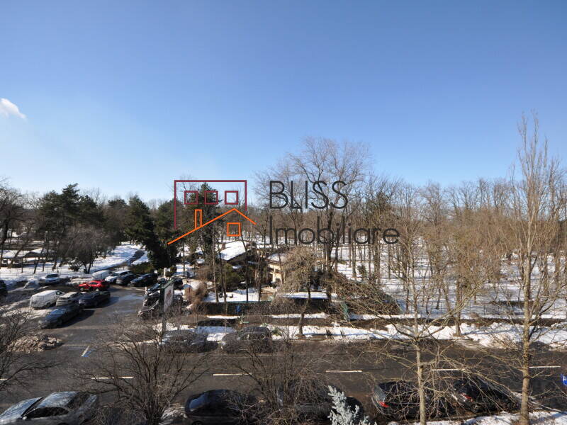 Luxury 3-Bedroom Apartment Direct Herastrau Park View, Bucharest | Bliss Imobiliare / Photo 7 - BLISS Imobiliare