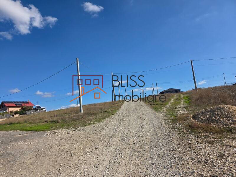3-bedroom House Corbu, Near Corbu Lake And Sea, 3 Parking Spaces, Comuna Corbu, Judetul Constanta, Romania | Bliss Imobiliare / Photo 19 - BLISS Imobiliare