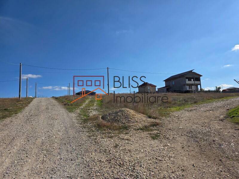 Photo 22 - BLISS Imobiliare