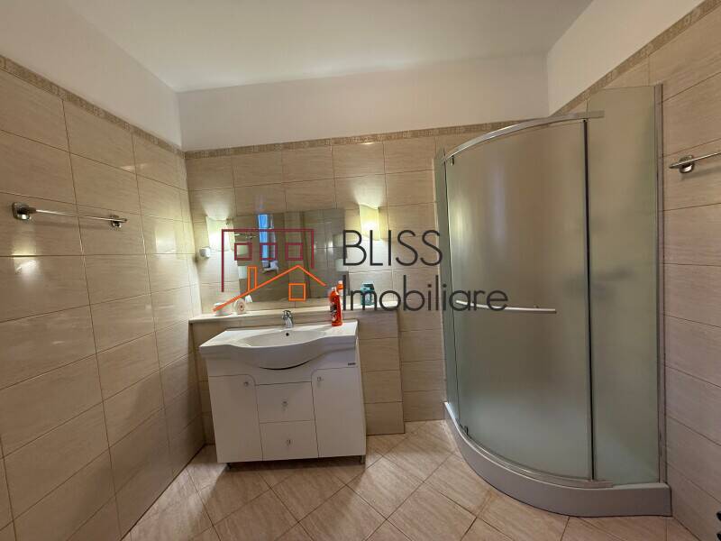 5-Bedroom Villa Iancu Nicolae — Private Pool, 600 Sqm Garden, Pets OK, Bucharest / Ilfov | Bliss Imobiliare / Photo 24 - BLISS Imobiliare