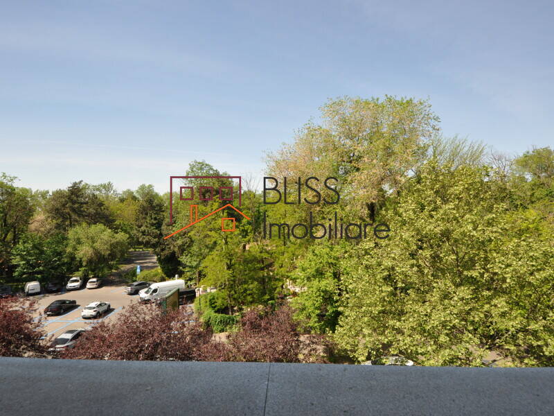 Luxury 3-Bedroom Apartment Direct Herastrau Park View, Bucharest | Bliss Imobiliare / Photo 8 - BLISS Imobiliare