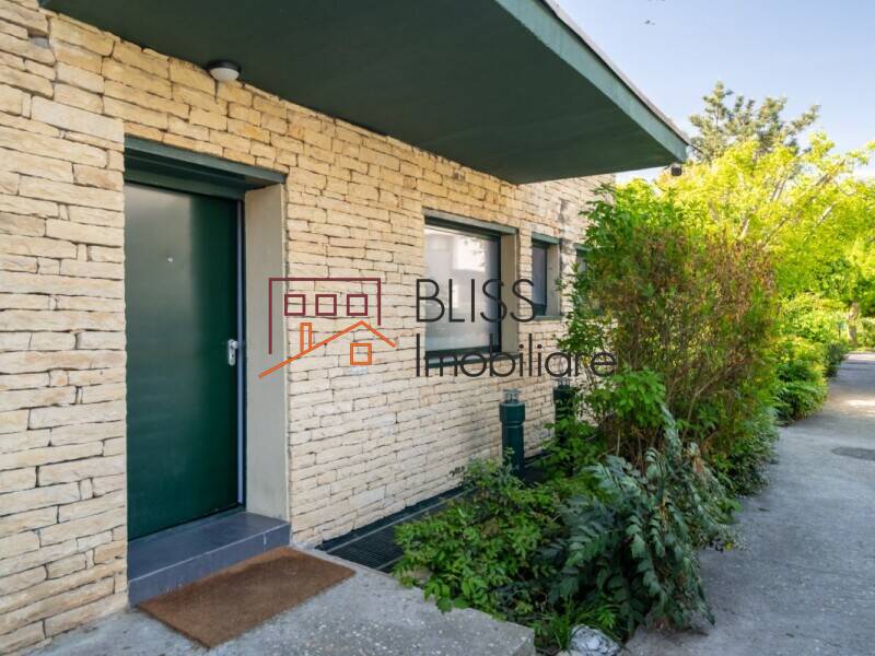 Proprietate Cu 4 Unitati Independente | Bliss Imobiliare / Photo 49 - BLISS Imobiliare