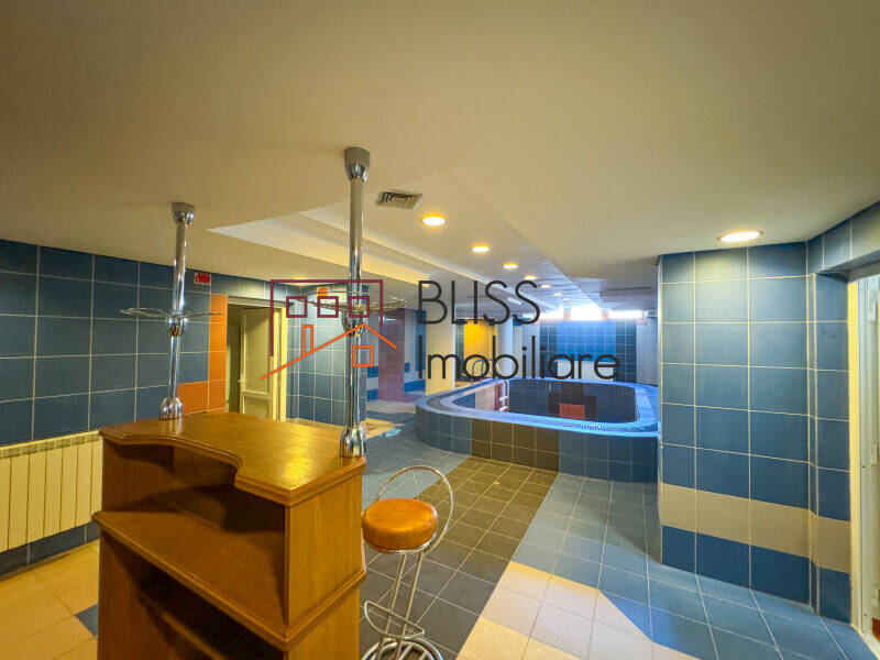 Victorian Manor Villa, 9 Bedrooms, Heated Indoor-outdoor Pools, Pipera, Bucharest / Ilfov | Bliss Imobiliare / Photo 48 - BLISS Imobiliare