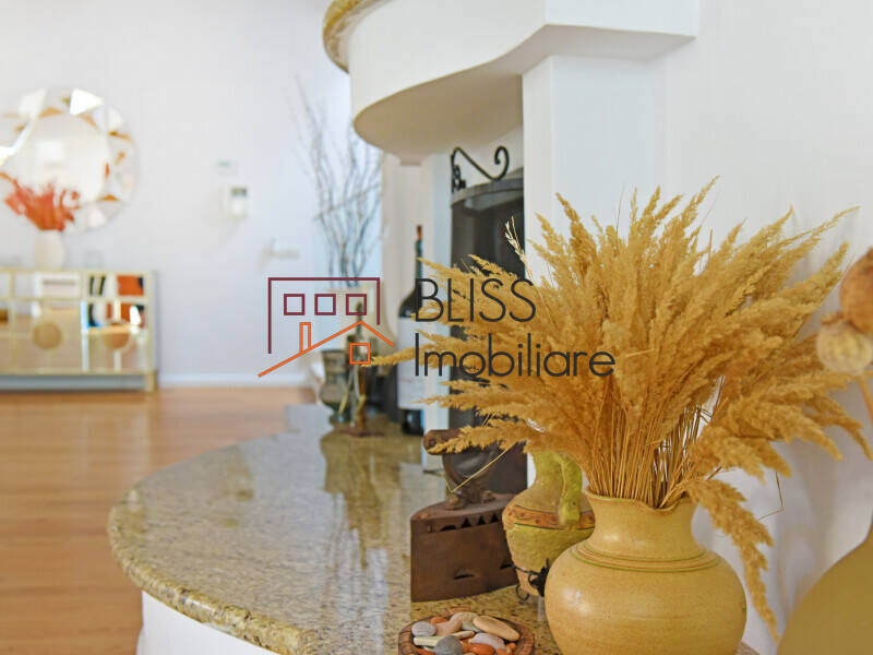 Vila Individuala Cu Gradina Pentru Familie Sau Business | Bliss Imobiliare / Photo 34 - BLISS Imobiliare