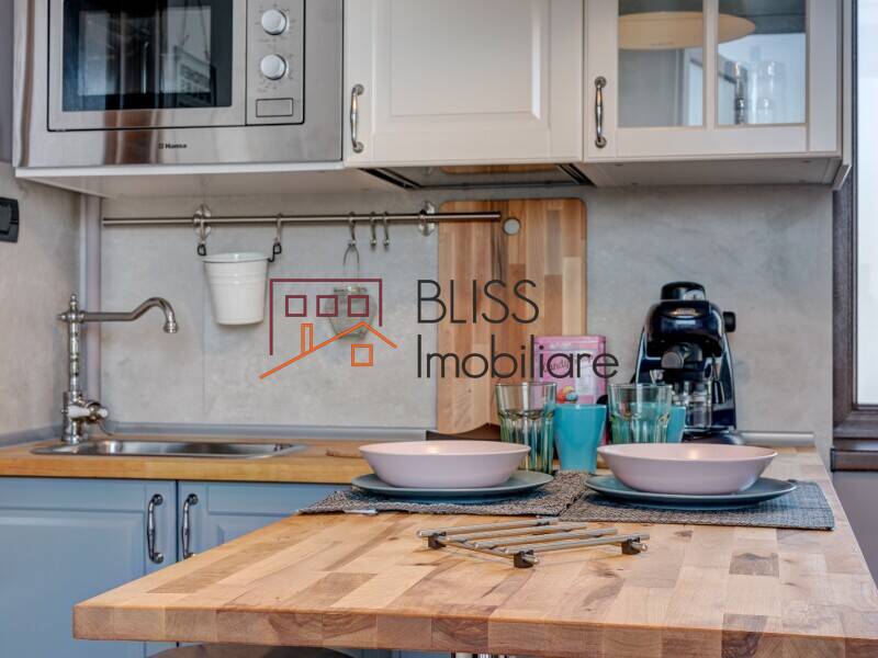 Garsoniera de Inchiriat KM 0 | Ultracentral - ID:66939 | Bliss Imobiliare / Photo 9 - BLISS Imobiliare