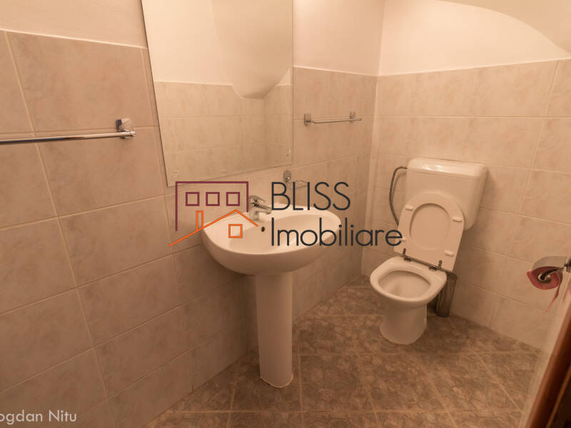 Casa de Inchiriat Iancu Nicolae | Pipera - 6 Camere - ID:4374 | Bliss Imobiliare / Photo 22 - BLISS Imobiliare