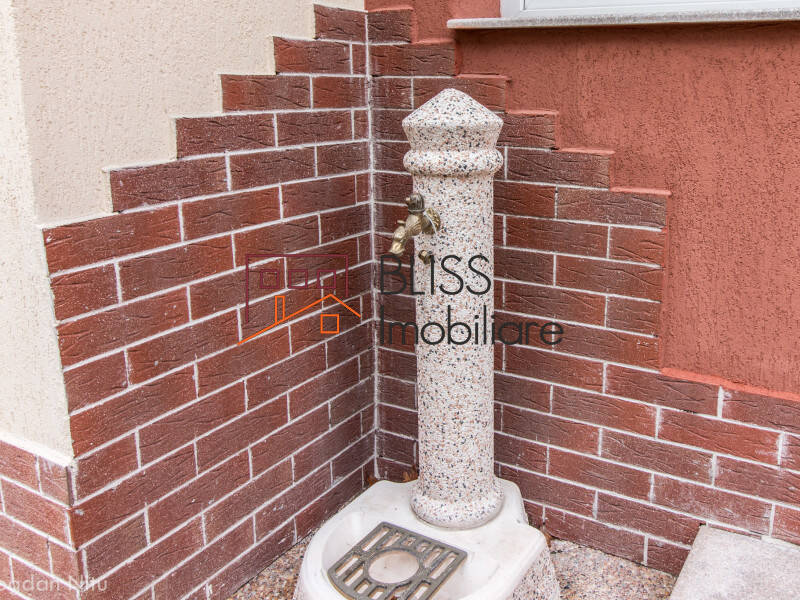 Vila de Inchiriat Iancu Nicolae | Pipera - 9 Camere - ID:36899 | Bliss Imobiliare / Photo 43 - BLISS Imobiliare