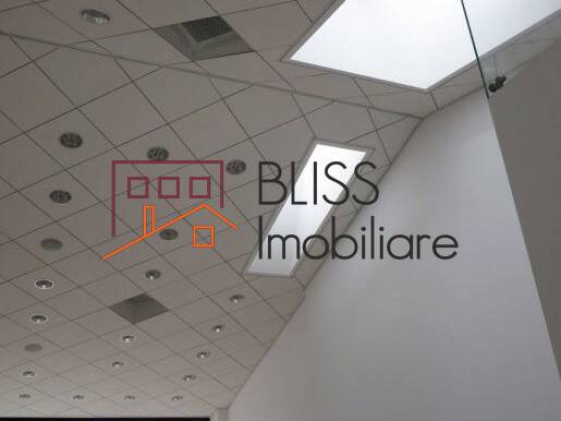 Villa for Rent Tunari, Bucharest - 8 Bedroom - ID:42035 | Bliss Imobiliare / Photo 7 - BLISS Imobiliare