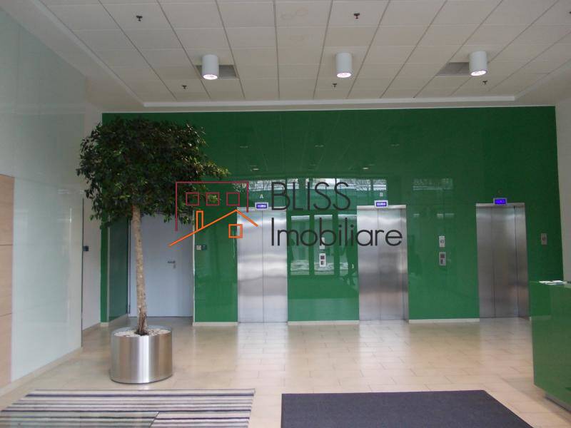 Photo 4 - BLISS Imobiliare