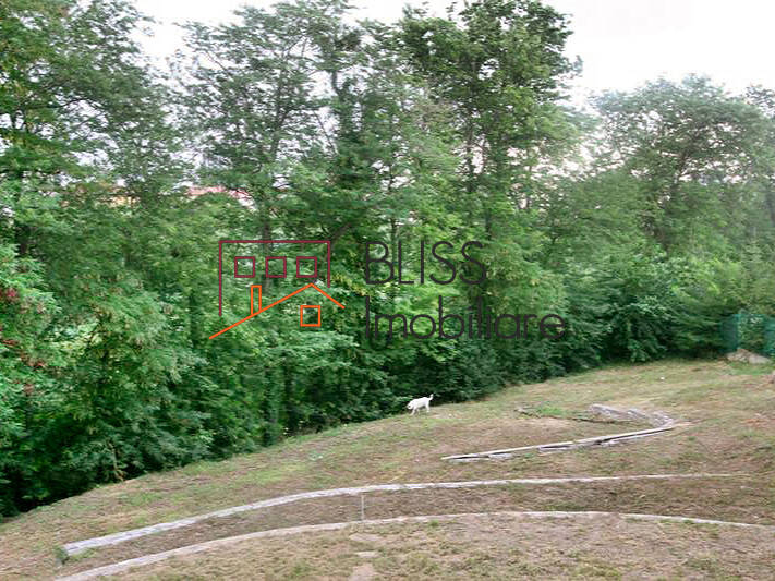 4 Bedrooms Villa In Pipera, Bucharest / Ilfov | Bliss Imobiliare / Photo 23 - BLISS Imobiliare