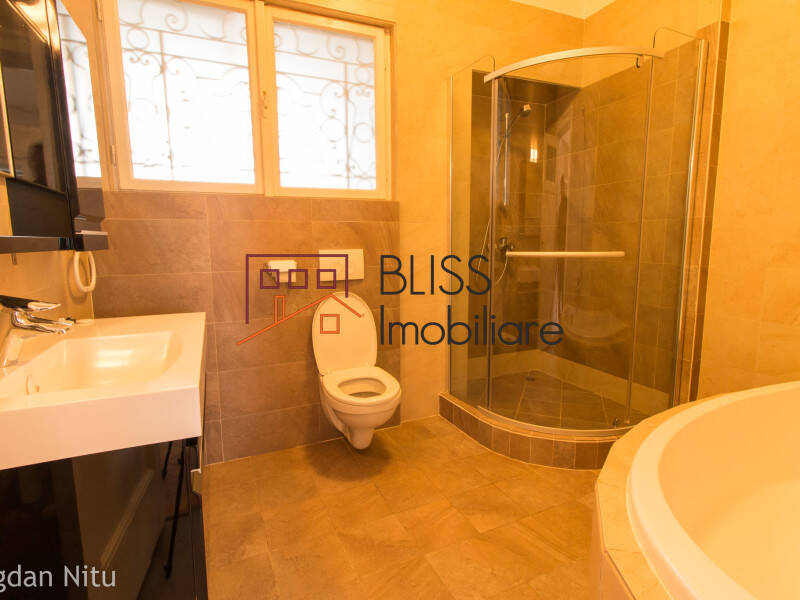 House for Rent Dorobanti | Primaverii | Kiseleff | Aviatorilor, Bucharest - 5 Bedroom - ID:2049 | Bliss Imobiliare / Photo 49 - BLISS Imobiliare