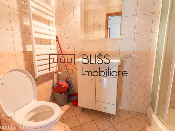 Apartament Cu Vedere La Parcul Herastrau | Bliss Imobiliare / Photo 8 - BLISS Imobiliare