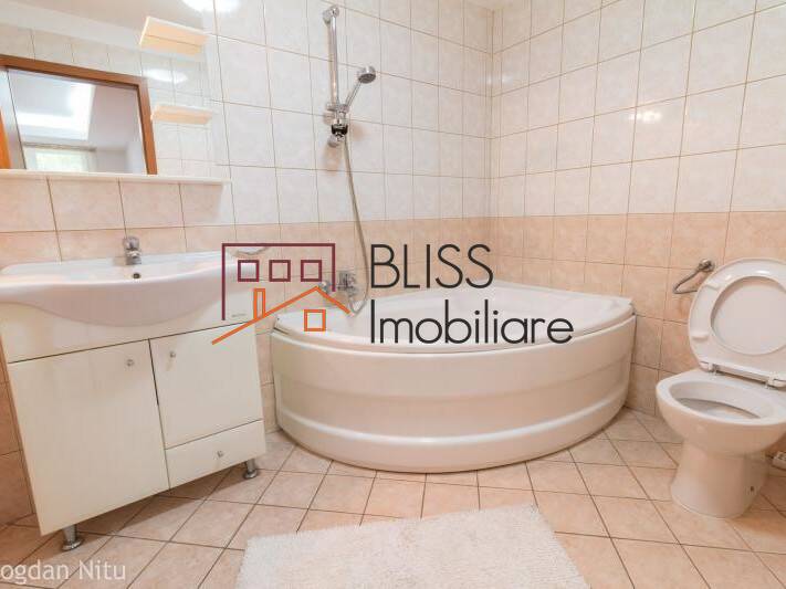 Apartment With Herastrau Park View, Bucharest | Bliss Imobiliare / Photo 13 - BLISS Imobiliare
