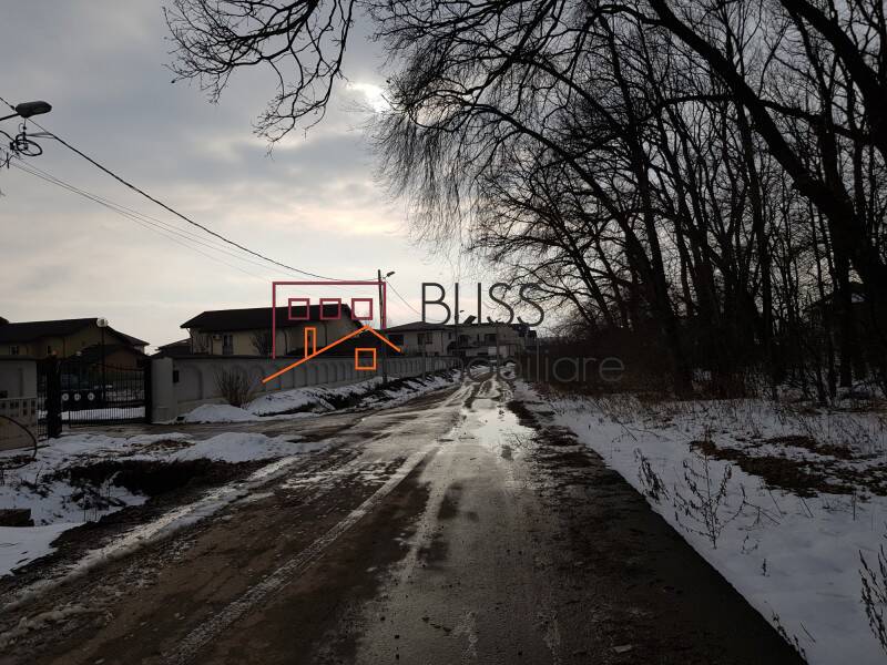 Photo 3 - BLISS Imobiliare