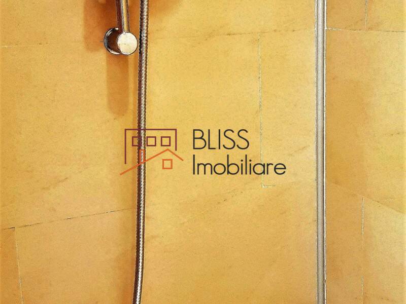 Vila de Inchiriat Iancu Nicolae | Pipera - 7 Camere - ID:50898 | Bliss Imobiliare / Photo 29 - BLISS Imobiliare