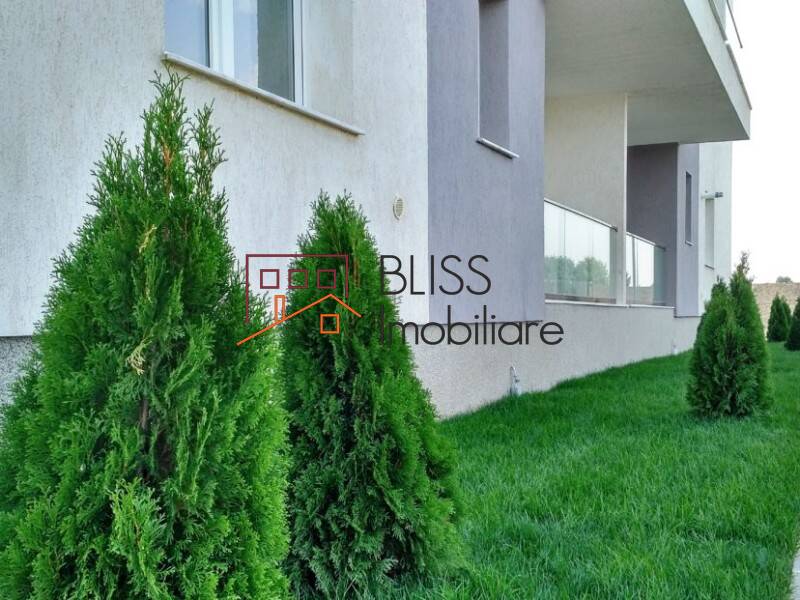 Photo 12 - BLISS Imobiliare