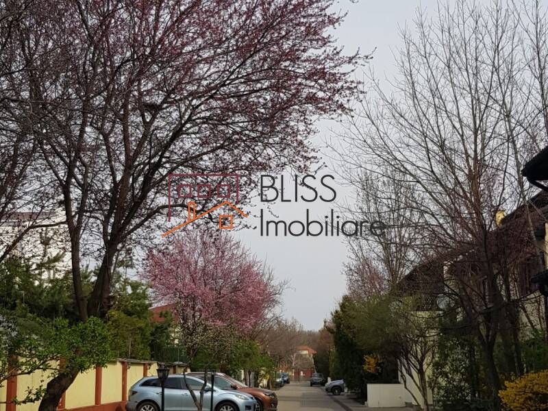 Photo 6 - BLISS Imobiliare