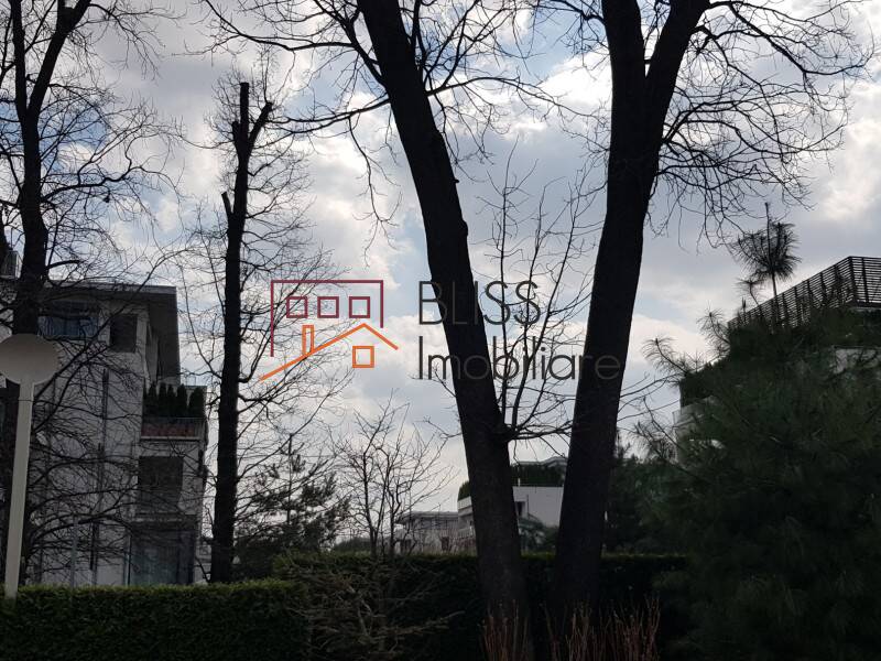 Photo 6 - BLISS Imobiliare