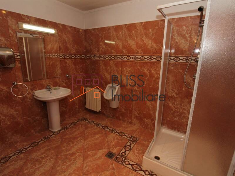 Vila de Vanzare Iancu Nicolae | Pipera - 10 Camere - ID:58989 | Bliss Imobiliare / Photo 47 - BLISS Imobiliare