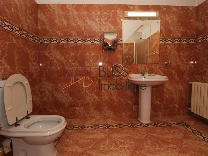 Vila de Vanzare Iancu Nicolae | Pipera - 10 Camere - ID:58989 | Bliss Imobiliare / Photo 48 - BLISS Imobiliare