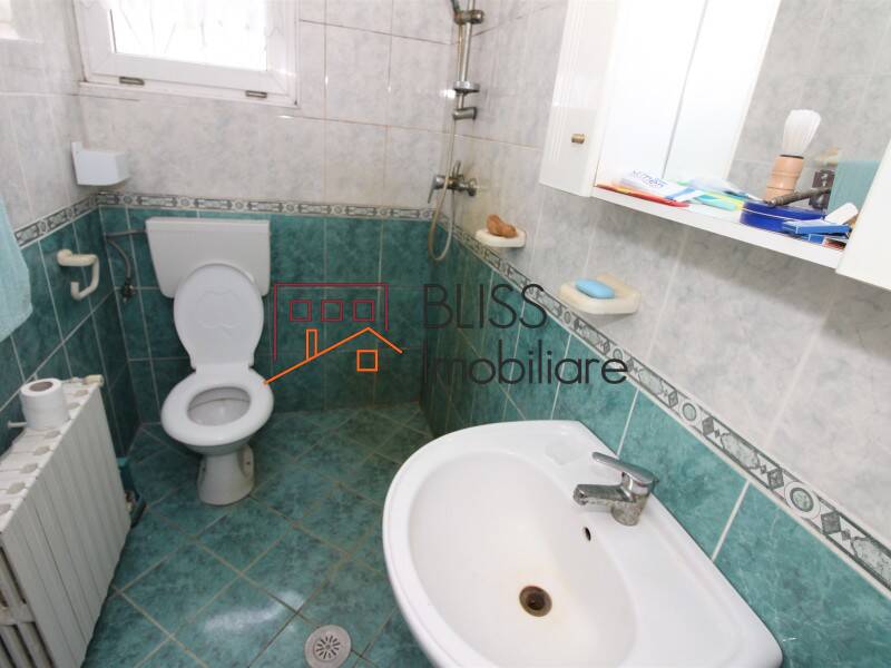 Vila de Vanzare Iancu Nicolae | Pipera - 10 Camere - ID:58989 | Bliss Imobiliare / Photo 49 - BLISS Imobiliare
