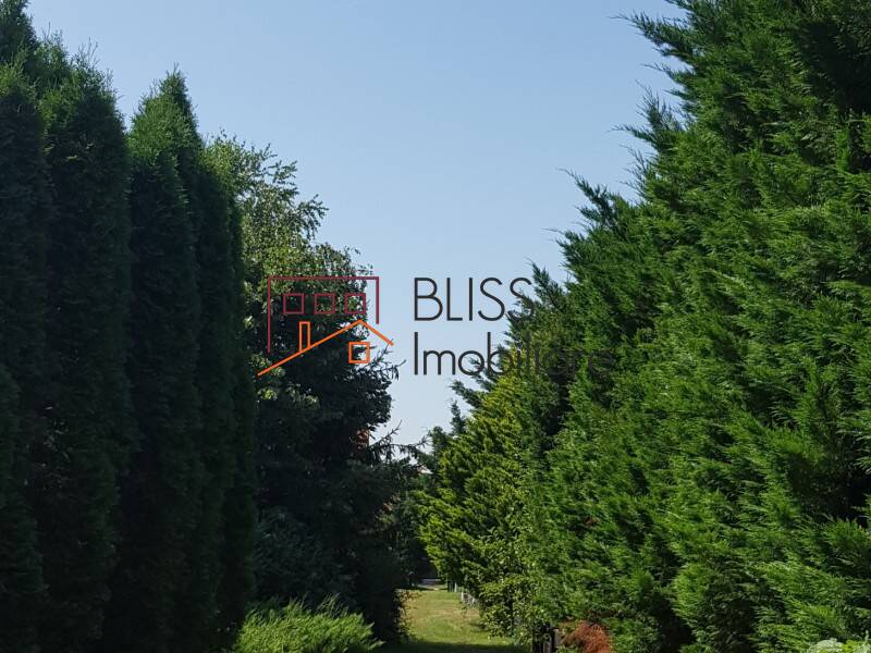 Photo 32 - BLISS Imobiliare