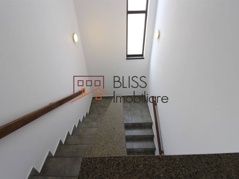 Vila 5 Camere, De 260mp, Semi-Mobilata In Zona Campul Pipera | Bliss Imobiliare / Photo 15 - BLISS Imobiliare
