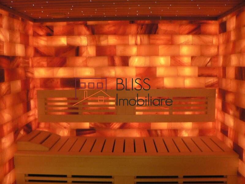 Vila de Inchiriat Iancu Nicolae | Pipera - 9 Camere - ID:34687 | Bliss Imobiliare / Photo 38 - BLISS Imobiliare