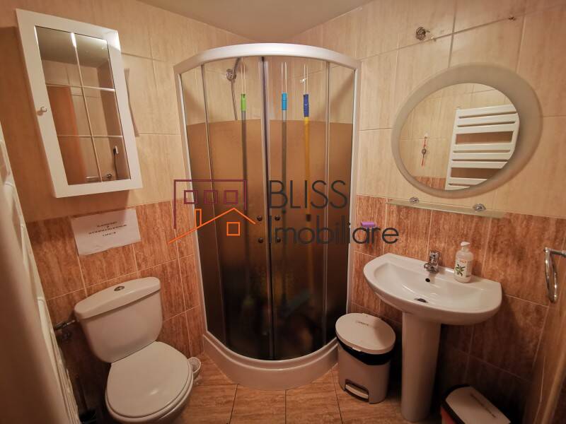 Two Rooms Apartment, Bucharest | Bliss Imobiliare / Photo 10 - BLISS Imobiliare