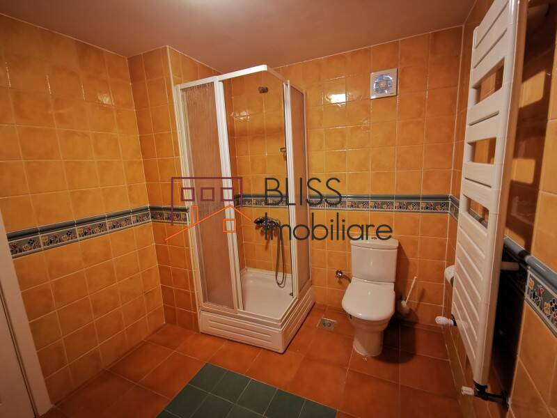 Spacious 5 Bedroom Villa, Bucharest / Ilfov | Bliss Imobiliare / Photo 45 - BLISS Imobiliare