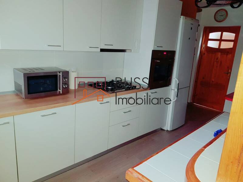 Vila 7 Camere In Zona Herastrau | Bliss Imobiliare / Photo 10 - BLISS Imobiliare