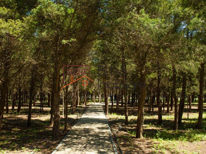 Photo 20 - BLISS Imobiliare