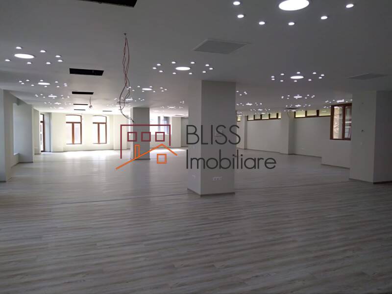 spațiu de birouri de Inchiriat Unirii - ID:25759 | Bliss Imobiliare / Photo 15 - BLISS Imobiliare