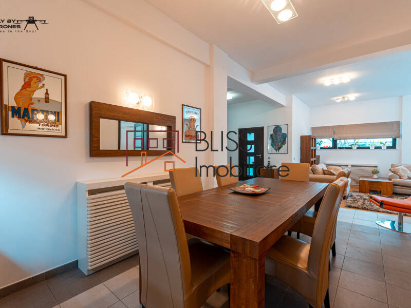 Vila Cu 7 Camere, Zona Herastrau | Bliss Imobiliare / Photo 10 - BLISS Imobiliare