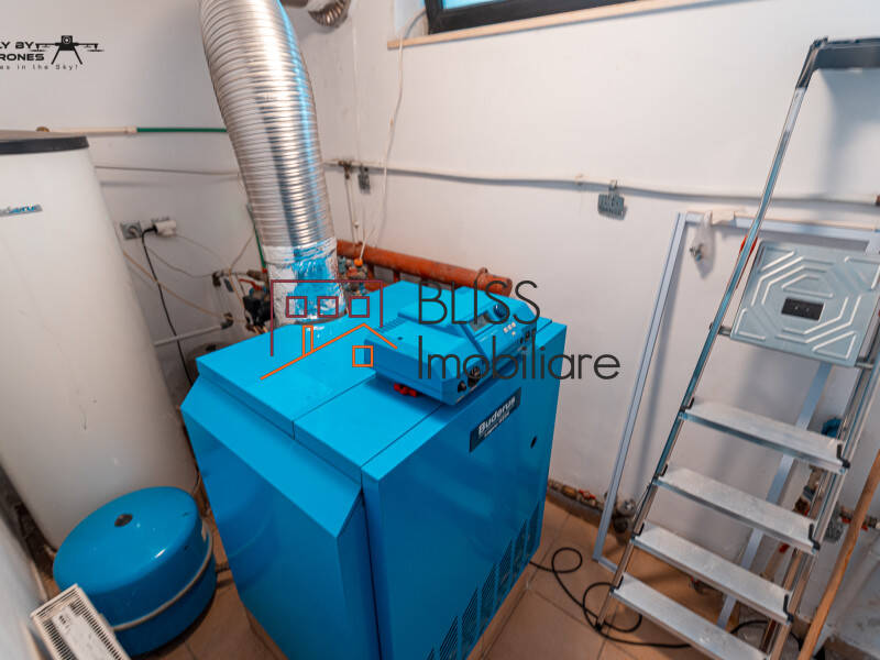 Vila Cu 7 Camere, Zona Herastrau | Bliss Imobiliare / Photo 22 - BLISS Imobiliare